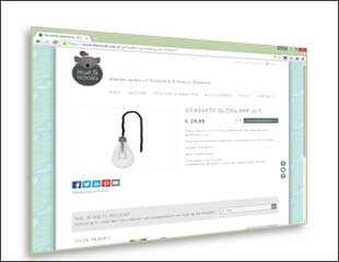 Webwinkels en e-commerce